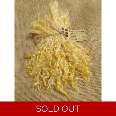 Golden yellow teeswater curly  wool locks, 28g 14g 7g (v)
